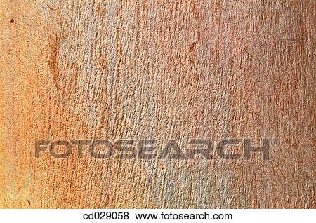 background, detail, concept, Close-up, abstract View Large Photo Image Stock Photo - background, detail, concept, Close-up, abstract. Fotosearch