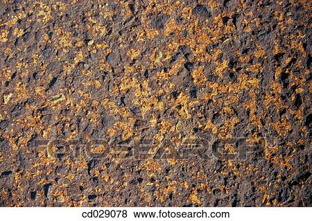 background, detail, concept, Close-up, abstract View Large Photo Image Stock Photo - background, detail, concept, Close-up, abstract. Fotosearch