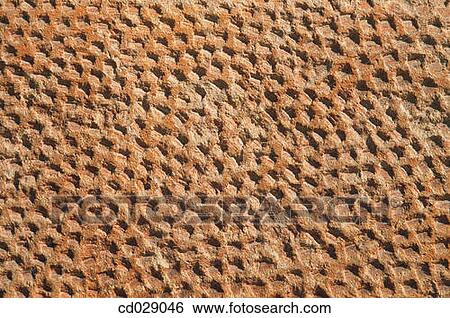 Stock Photograph - background, detail, concept, Close-up, abstract. Fotosearch