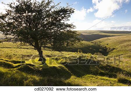background, green, concept, abstract View Large Photo Image Stock Image - background, green, concept, abstract. Fotosearch
