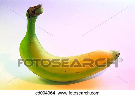 Banana View Large Photo Image Picture - Banana. Fotosearch