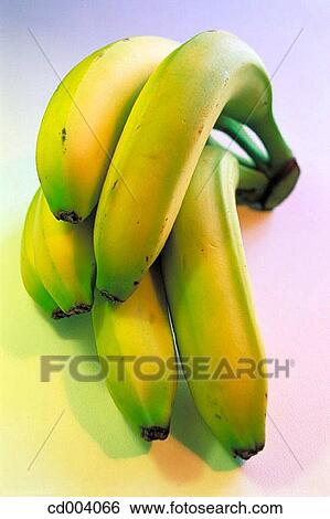 Bananas View Large Photo Image Stock Photograph - Bananas. Fotosearch