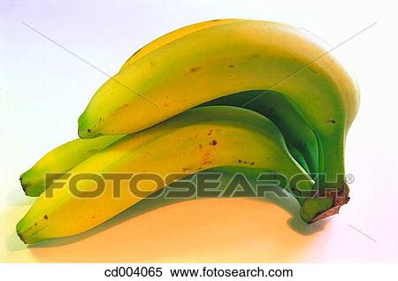 Bananas View Large Photo Image Stock Photography - Bananas. Fotosearch