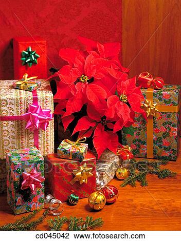 bauble, celebrate, celebration, Christmas, Christmas decoration, Christmas ornament View Large Photo Image Stock Image - bauble, celebrate, celebration, Christmas, Christmas decoration, Christmas ornament. Fotosearch