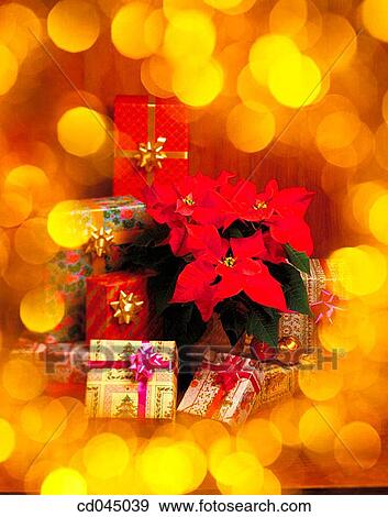 Stock Photo - bauble, celebrate, celebration, Christmas, Christmas decoration, Christmas ornament. Fotosearch
