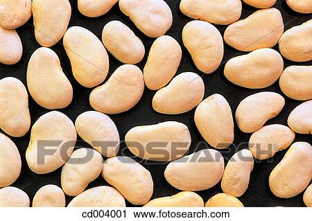 Stock Image - Beans. Fotosearch