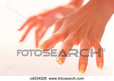 beauty, Beauty Care, body, Body care, Body part View Large Photo Image Stock Photo - beauty, Beauty Care, body, Body care, Body part. Fotosearch
