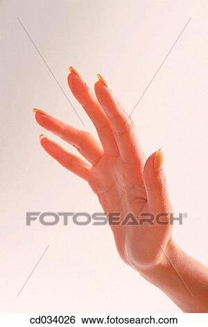 beauty, Beauty Care, body, Body care, Body part View Large Photo Image Stock Photograph - beauty, Beauty Care, body, Body care, Body part. Fotosearch