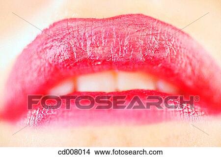 beauty, Beauty Care, body, Body part View Large Photo Image Picture - beauty, Beauty Care, body, Body part. Fotosearch