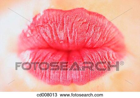 Stock Image - beauty, Beauty Care, body, Body part. Fotosearch