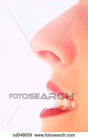 beauty, Beauty Care, body, Body part View Large Photo Image Stock Photo - beauty, Beauty Care, body, Body part. Fotosearch
