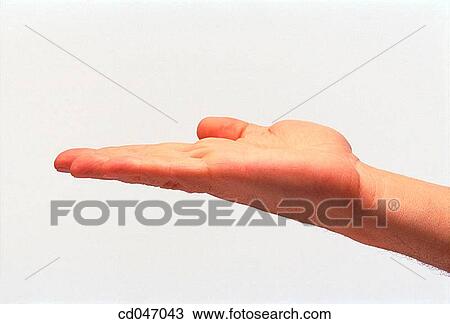 Stock Image - beg, beggar, begging, clipping path, Close-up. Fotosearch