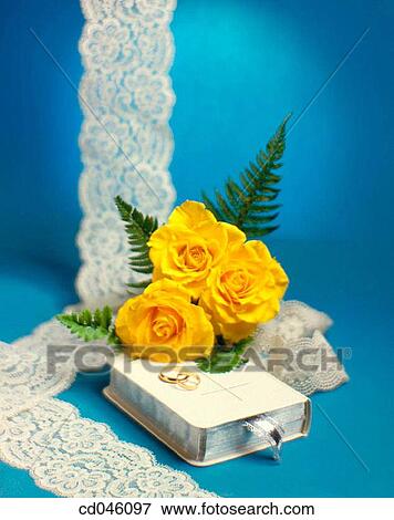 Stock Photo - Bible, blue, book, Close-up, concept. Fotosearch