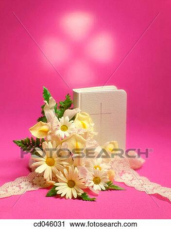 Bible, book, Christian, Christianity, Close-up View Large Photo Image Stock Image - Bible, book, Christian, Christianity, Close-up. Fotosearch