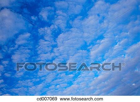 blue sky, altocumulus, blue, background, atmosphere, air View Large Photo Image Stock Photo - blue sky, altocumulus, blue, background, atmosphere, air. Fotosearch