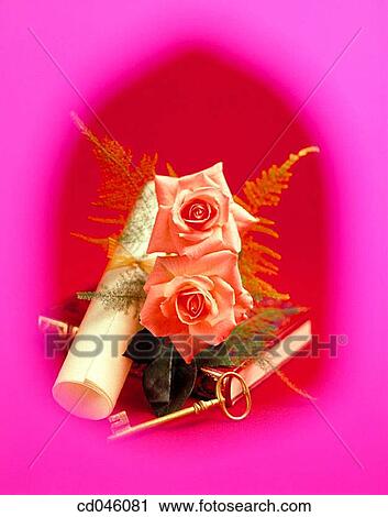 Stock Image - book, Close-up, concept, culture, diploma. Fotosearch