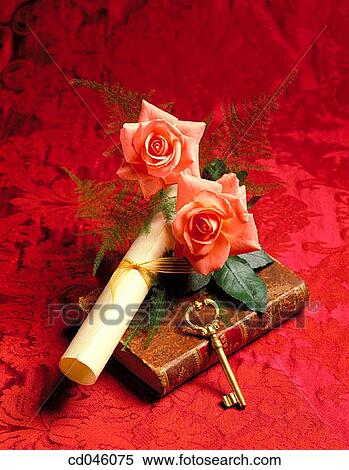 book, culture, concept, Close-up, aged View Large Photo Image Stock Photography - book, culture, concept, Close-up, aged. Fotosearch