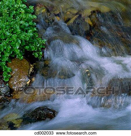 brook, creek, day, flow, flowing View Large Photo Image Stock Image - brook, creek, day, flow, flowing. Fotosearch