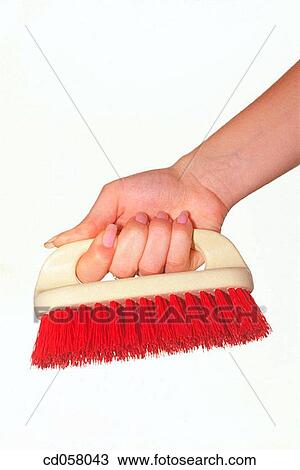 Stock Image - brush, cleaning up, cleaning, clean, activity. Fotosearch