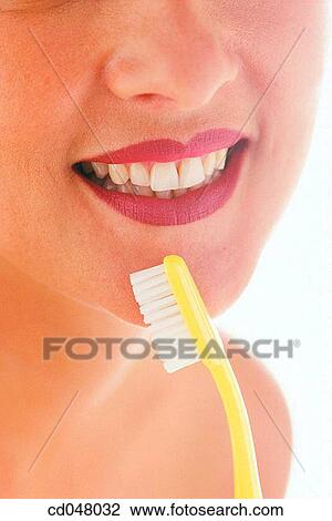 brush, Close-up View Large Photo Image Stock Image - brush, Close-up. Fotosearch