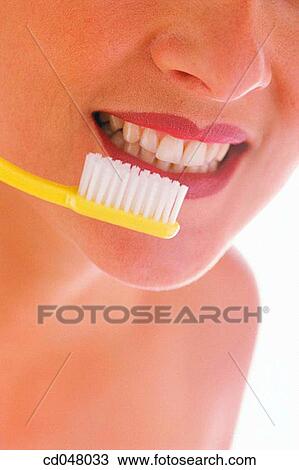 brush, Close-up View Large Photo Image Stock Image - brush, Close-up. Fotosearch