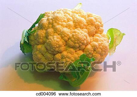 Cauliflower View Large Photo Image Stock Photograph - Cauliflower. Fotosearch