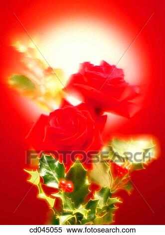 celebrate, celebration, Christmas, Close-up, concept View Large Photo Image Stock Photography - celebrate, celebration, Christmas, Close-up, concept. Fotosearch