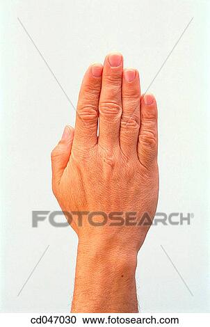 Stock Image - clipping path, Close-up, communicate, communication. Fotosearch