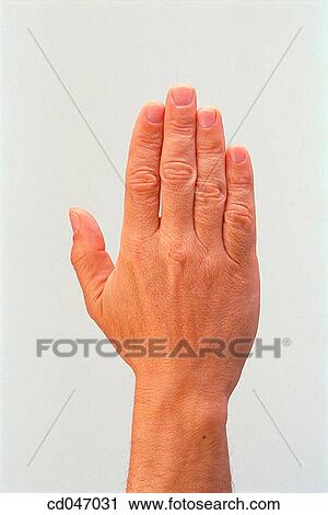 Stock Image - clipping path, Close-up, communicate, communication. Fotosearch