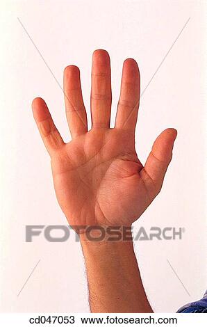 Stock Image - clipping path, Close-up, communicate, communication. Fotosearch