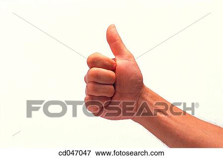 clipping path, Close-up, communicate, communication View Large Photo Image Stock Photo - clipping path, Close-up, communicate, communication. Fotosearch