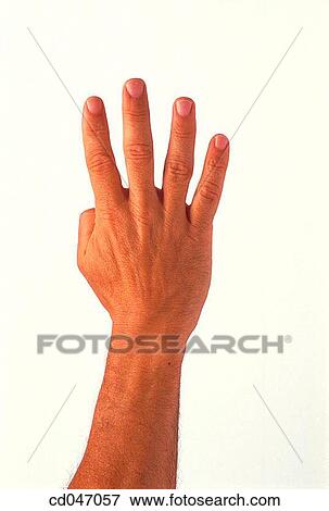 clipping path, Close-up, communicate View Large Photo Image Stock Photo - clipping path, Close-up, communicate. Fotosearch