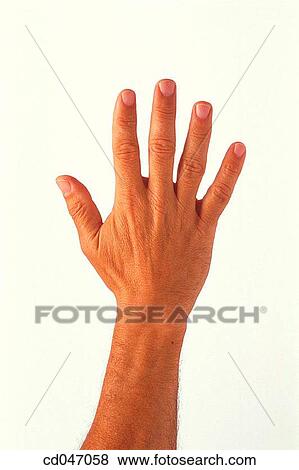 Stock Photo - clipping path, Close-up, communicate, communication. Fotosearch