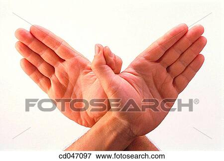 clipping path, Close-up, communicate, communication View Large Photo Image Stock Photo - clipping path, Close-up, communicate, communication. Fotosearch