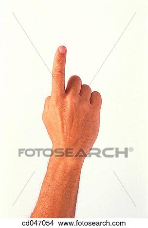 clipping path, communicate, Close-up, Arm raised View Large Photo Image Picture - clipping path, communicate, Close-up, Arm raised. Fotosearch
