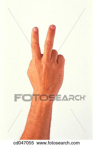 Stock Photography - clipping path, communicate, Close-up, achievement. Fotosearch