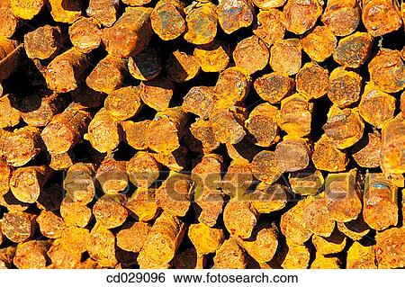Close-up, abundance, brown, background, abundant, abstract View Large Photo Image Stock Photograph - Close-up, abundance, brown, background, abundant, abstract. Fotosearch