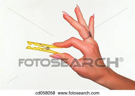 Close-up, clothespin, clothespeg, activity View Large Photo Image Stock Photo - Close-up, clothespin, clothespeg, activity. Fotosearch