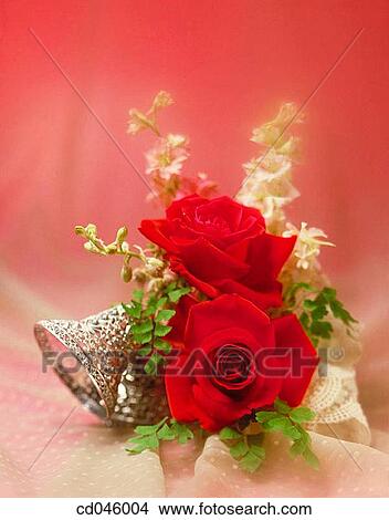 Picture - Close-up, concept, flower, indoors, interior. Fotosearch