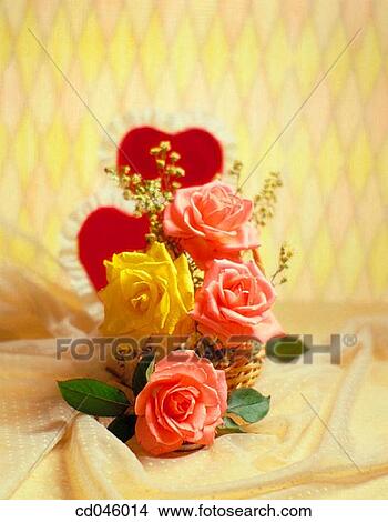 Picture - Close-up, concept, flower, indoors, interior. Fotosearch