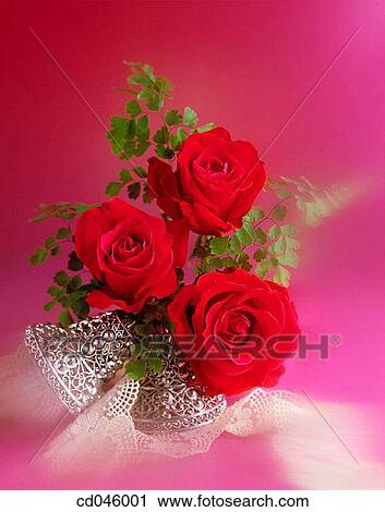 Close-up, concept, flower, indoors, interior View Large Photo Image Stock Image - Close-up, concept, flower, indoors, interior. Fotosearch