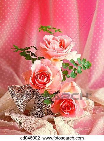 Close-up, concept, flower, indoors, interior View Large Photo Image Stock Image - Close-up, concept, flower, indoors, interior. Fotosearch