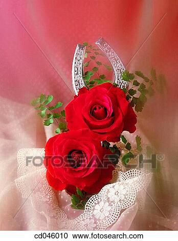 Stock Image - Close-up, concept, flower, indoors, interior. Fotosearch