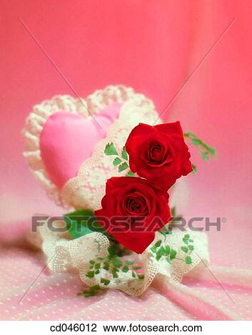 Close-up, concept, flower, indoors, interior View Large Photo Image Stock Image - Close-up, concept, flower, indoors, interior. Fotosearch
