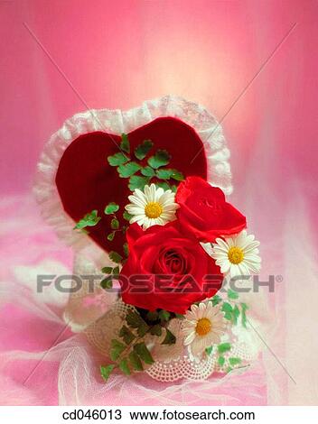 Close-up, concept, flower, indoors, interior View Large Photo Image Stock Image - Close-up, concept, flower, indoors, interior. Fotosearch
