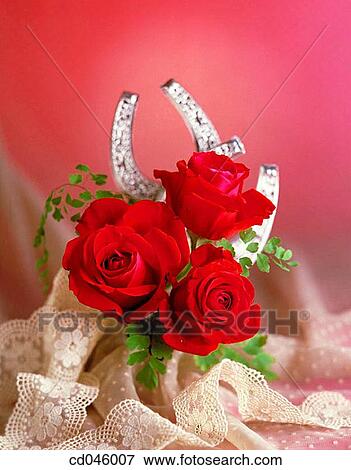 Close-up, concept, flower, indoors, interior View Large Photo Image Stock Photo - Close-up, concept, flower, indoors, interior. Fotosearch