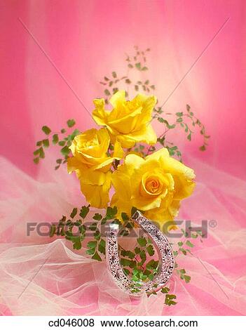 Close-up, concept, flower, indoors, interior View Large Photo Image Stock Photo - Close-up, concept, flower, indoors, interior. Fotosearch