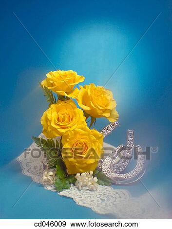 Close-up, concept, flower, indoors, interior View Large Photo Image Stock Photo - Close-up, concept, flower, indoors, interior. Fotosearch