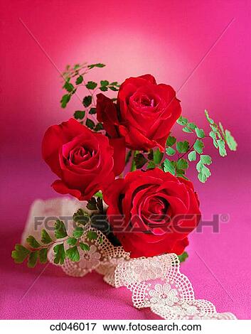 Close-up, concept, flower, indoors, interior View Large Photo Image Stock Photo - Close-up, concept, flower, indoors, interior. Fotosearch