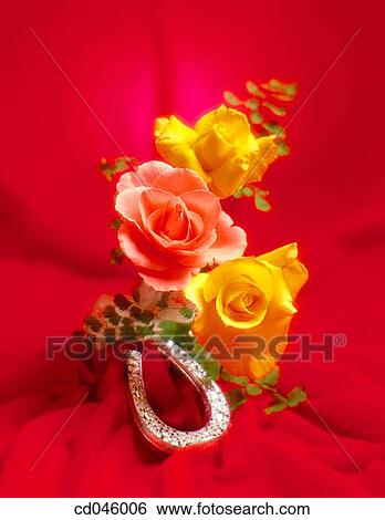 Close-up, concept, flower, indoors, interior View Large Photo Image Stock Photograph - Close-up, concept, flower, indoors, interior. Fotosearch